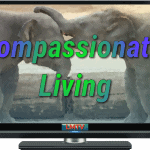 Compassionate Living