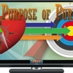 The Purpose of Purpose