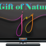 A Gift of Natural Joy