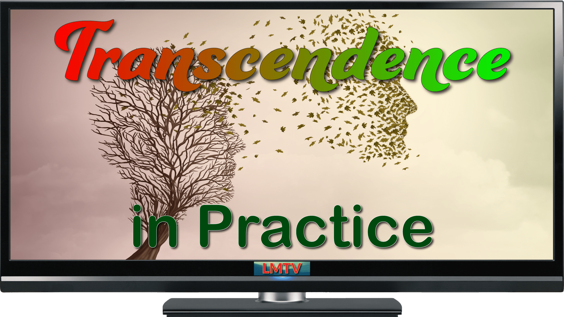 Transcendence in Practice