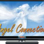 Angel Connections